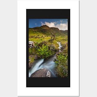 Craig Cerrig-gleisiad, Brecon Beacons National Park Posters and Art